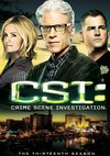 Poster CSI - Den Tätern auf der Spur Staffel 13