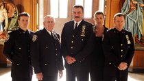 „Blue Bloods“ Staffel 14: Hier läuft das Finale der Polizeiserie im Stream & Free-TV 