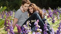 Lego macht Teenie-Träume wahr: Mit diesem „Twilight“-Set holt ihr euch Edward nach Hause 