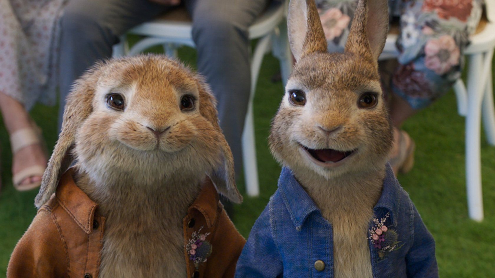 „Peter Hase 2“ kommt nach Ostern – jetzt den ersten Teil im Stream sehen