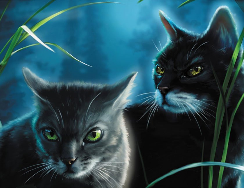 Warrior Cats Reihenfolge