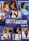 Poster Grey's Anatomy Staffel 6