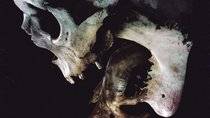 Original-Regisseur macht Hoffnung auf neue „Evil Dead“-Horrorfilme – mit dem größten Star der Reihe