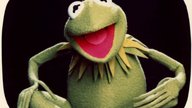 Die Sprüche von Kermit: Das sind die bekanntesten Zitate des Froschs 