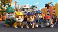 „Rubble & Crew“: Die Namen und Fähigkeiten der Baupfoten 