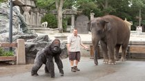„Der Zoowärter 2“: Gibt es eine Fortsetzung der Komödie?