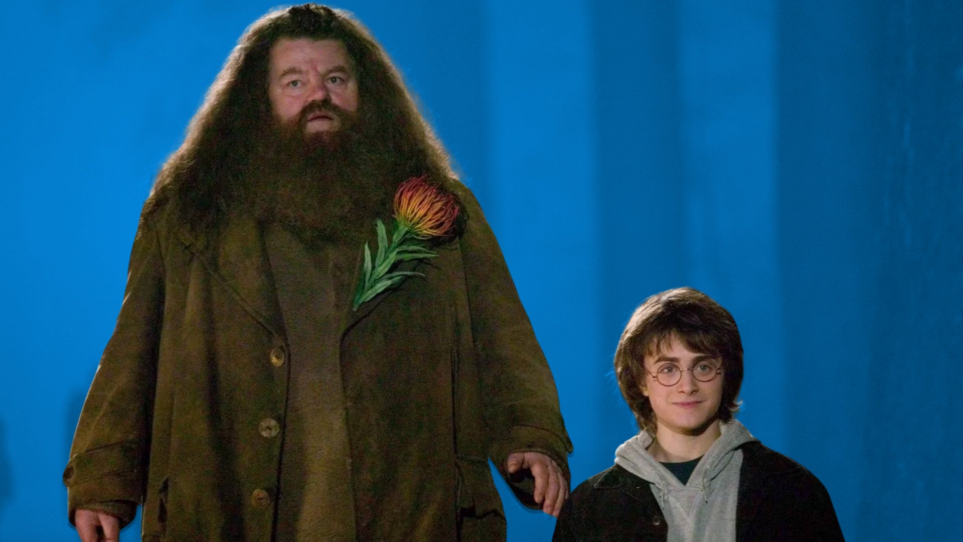 Potterheads-lieben-es-Amazon-verkauft-magisches-Harry-Potter-Terrarium-heute-f-r-15-Euro