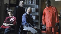 „Breaking Bad“-Star will eigene Serie für seinen Fan-Liebling: „Irgendwann sollte es so etwas geben“