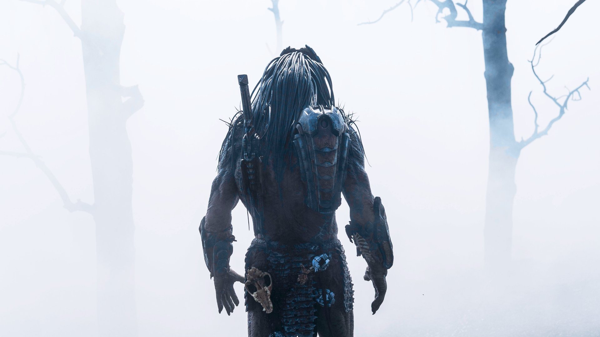 Sci-Fi-Regisseur-verr-t-Darum-erhalten-Fans-Predator-Badlands-anstatt-das-Horror-Sequel-Prey-2-