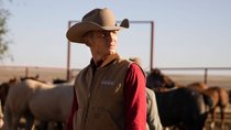 Die echte 6666-Ranch aus "Yellowstone" gehört Western-Regisseur  Taylor Sheridan: Warum heißt sie "The Four Sixes"?
