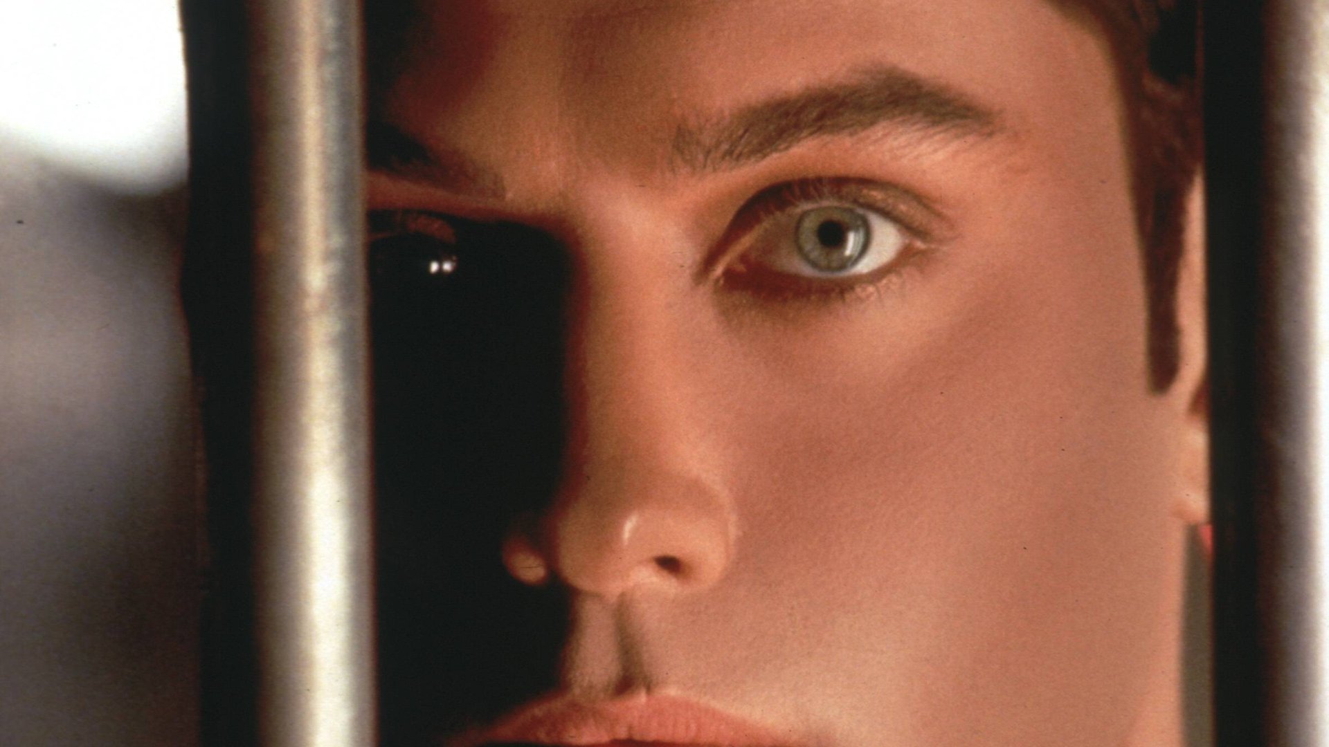 -Einer-der-untersch-tztesten-Filme-aller-Zeiten-Trotzdem-fliegt-dieser-Sci-Fi-Hit-bei-Netflix-raus