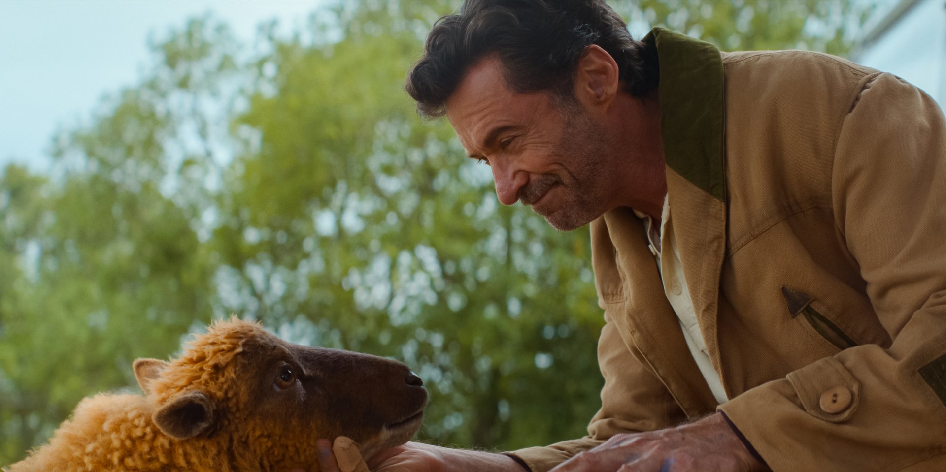 Hugh Jackman in einem tierischen Mord-Rätsel: Trailer und Starttermin zum kultigen Schafskrimi „Glenkill“ 7395a6c8f8f1ed2dc682593707 ZmMgODM3NzgyMTFmZmZmIDE5MjAgMAM4NDc1YzhlZDg5MA==