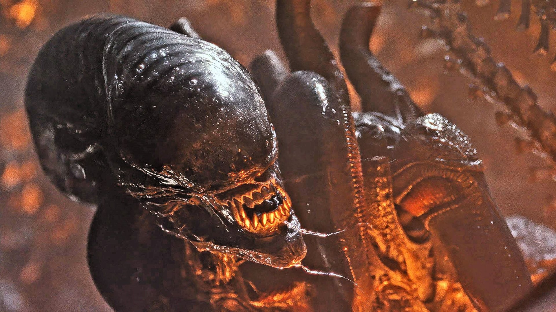 Der Vorgänger wird mit 85 % gefeiert: Disneys Sci-Fi-Horror-Fortsetzung im „Alien“-Universum hat jetzt endlich einen Top-Regisseur fac8ad9c11eebbee5f4190e803 ZmMgNmFkNTg0Y2JmZmZmIDE5MjAgMAM4N2Y4OTFiZTQwMA==