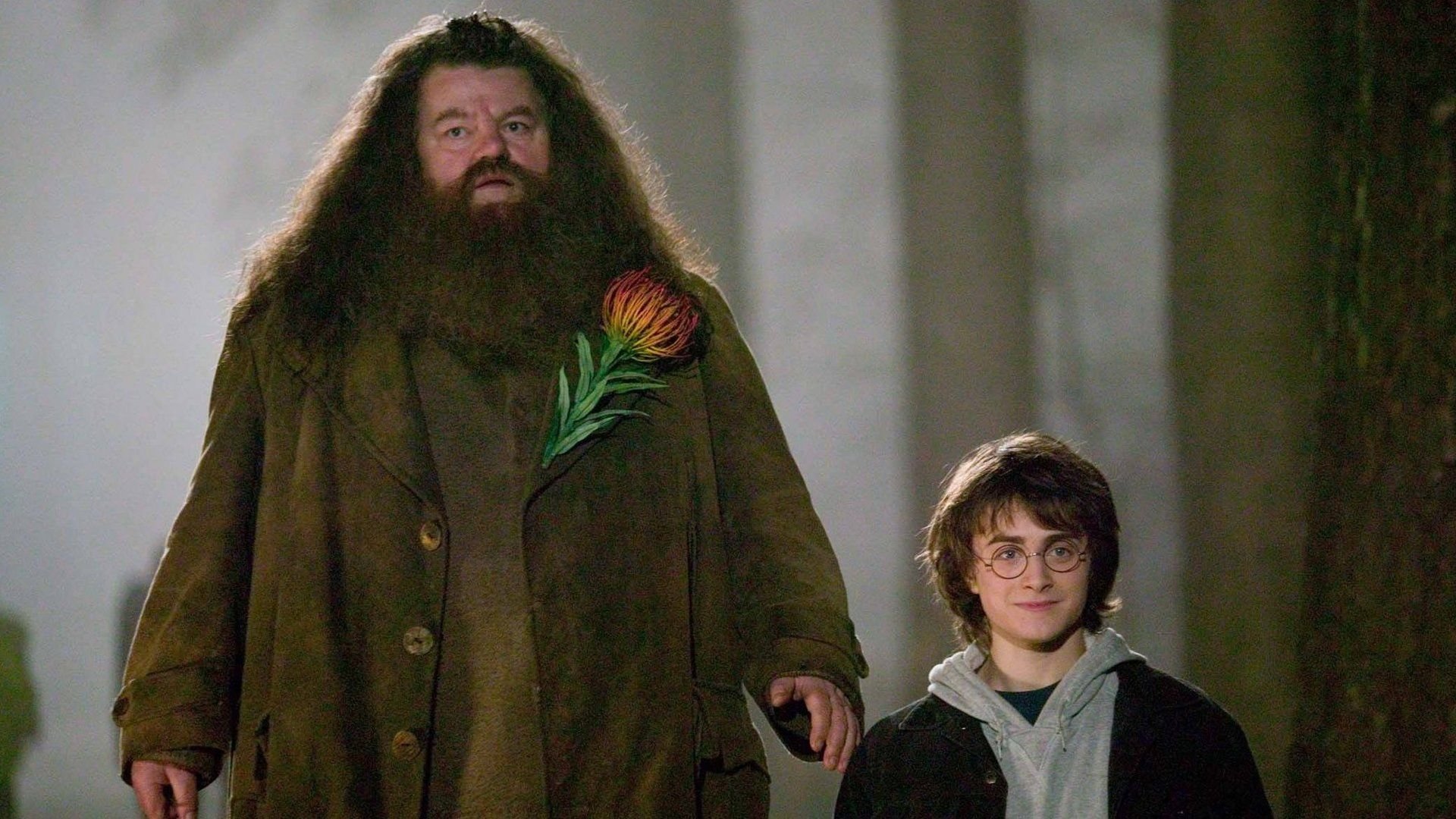 Fans-aufgepasst-Wer-dieses-geniale-Harry-Potter-Geschenk-bei-Amazon-bersieht-begeht-einen-riesigen-Fehler