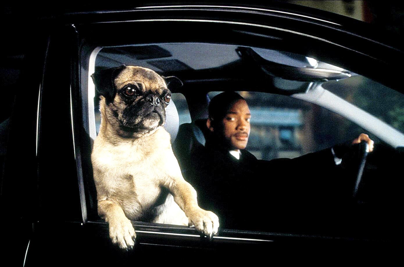 Sci-Fi-Comeback steht jetzt bevor: Will Smith soll in eine seiner besten Rollen zurückkehren 6e2db08cd7a5f279ee4d8233e7 ZmMgNzA1ODhjODVmZmZmIDE5MjAgMAM5YjZkODdmOTQyZQ==