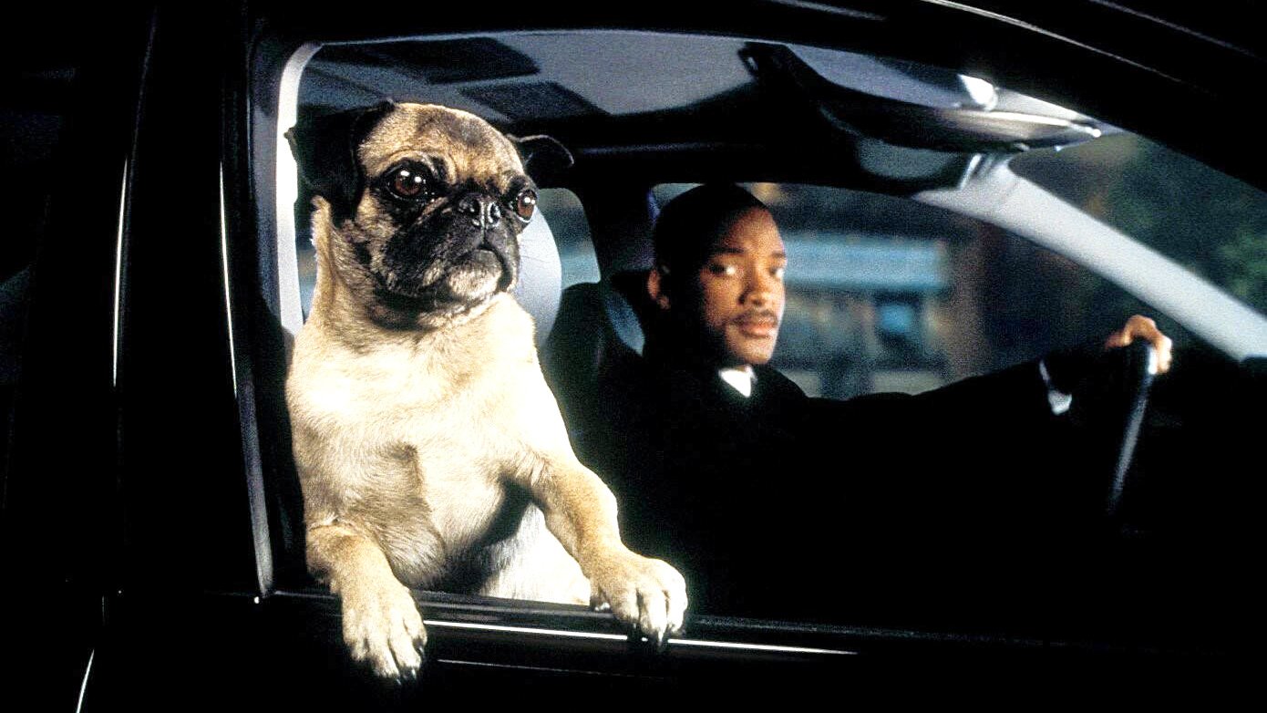 Sci-Fi-Comeback-steht-jetzt-bevor-Will-Smith-soll-in-eine-seiner-besten-Rollen-zur-ckkehren