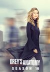 Poster Grey's Anatomy Staffel 16
