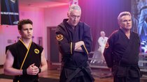 „Cobra Kai“ Staffel 8: Wird das Miyagi-Verse fortgeführt? 