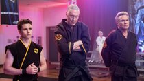 „Cobra Kai“ Staffel 8: Wird das Miyagi-Verse fortgeführt? 