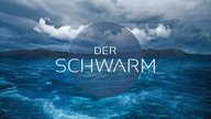 „Der Schwarm“-Schöpfer Frank Schätzing kritisiert die Serie: Regisseurin wehrt sich gegen die Kritik