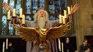 „Harry Potter“: Diese 21 Stars aus den Filmen sind bereits verstorben