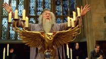 „Harry Potter“: Diese 21 Stars aus den Filmen sind bereits verstorben