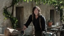 Nicht auf Netflix, sondern bei MagentaTV: So seht ihr die neue Staffel "The Walking Dead: Daryl Dixon" komplett kostenlos
