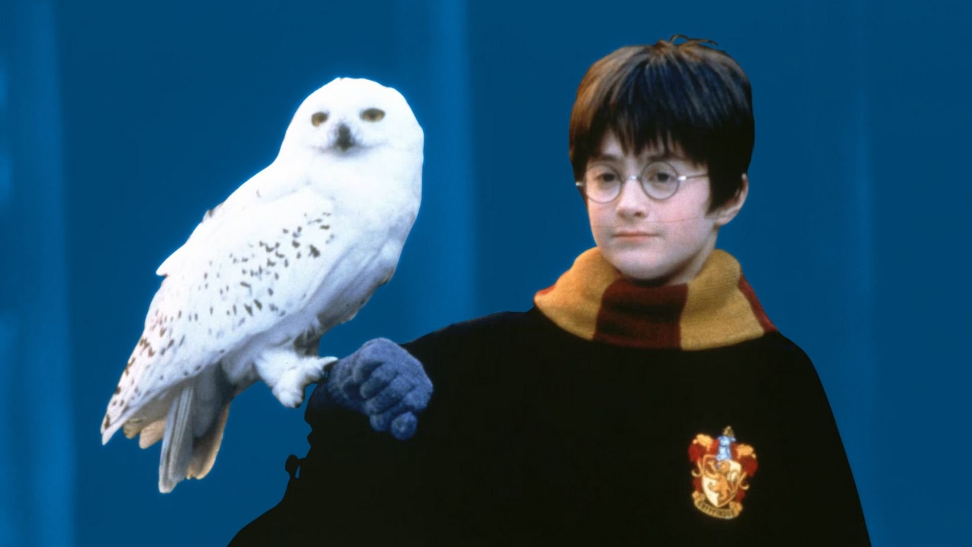 F-r-Harry-Potter-Fans-Amazon-verkauft-riesiges-Lego-Jubil-umsset-so-g-nstig-wie-noch-nie-zuvor