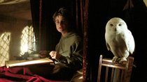 „Harry Potter“-Tierquiz: In Hogwarts alltäglich – Kennt ihr alle magischen Wesen?
