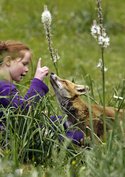 Die 7 schönsten Tierfilme für Kinder:  Lehrreiche Unterhaltung für die Kleinen 