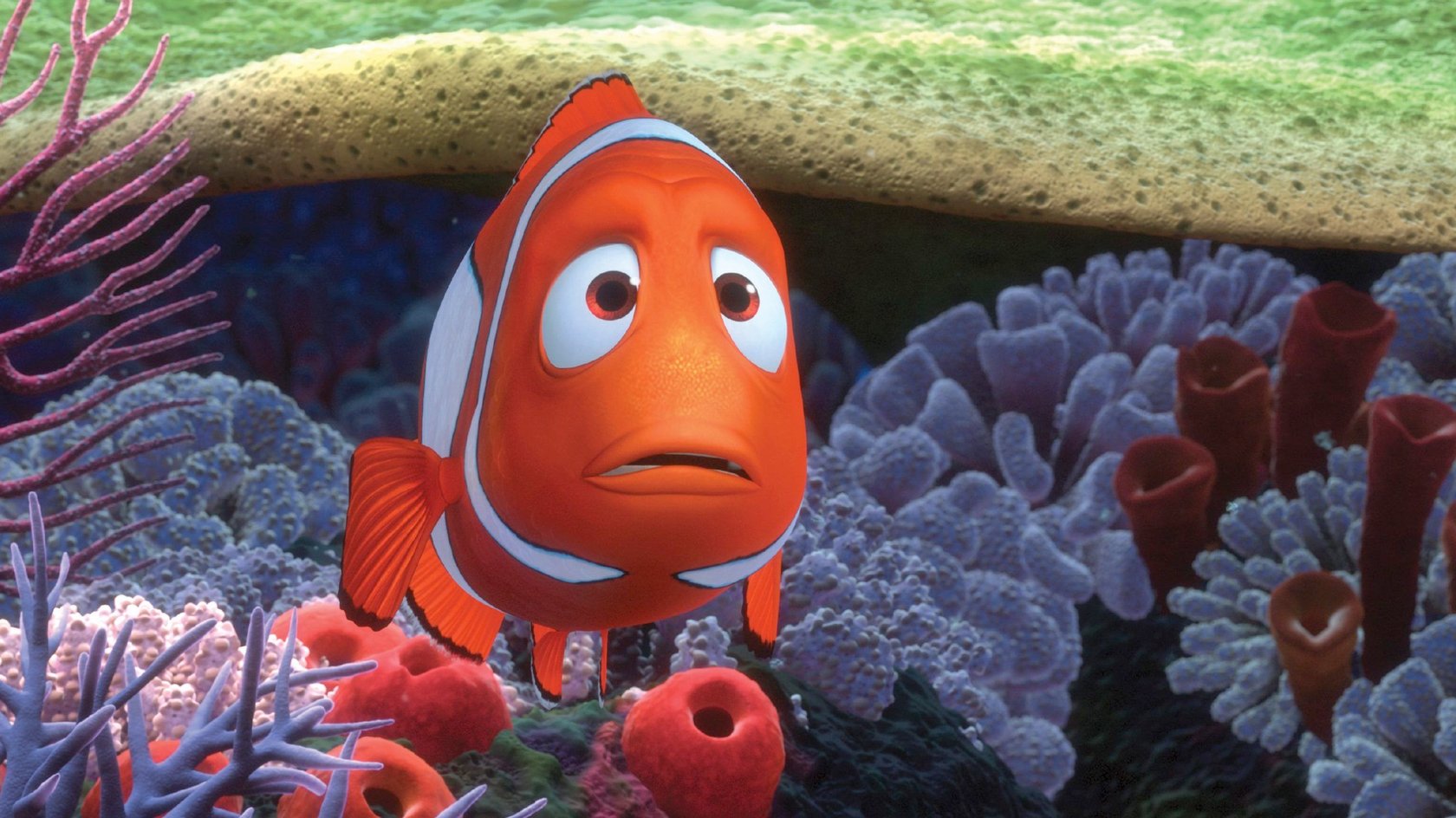 „Findet Nemo“Namen Das sind die Fische aus dem Film