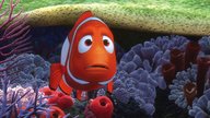 „Findet Nemo“-Namen: Das sind die Fische aus dem Film