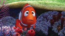 „Findet Nemo“-Namen: Das sind die Fische aus dem Film