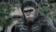 Das große „Planet der Affen“-Quiz:  Wie gut kennst du dich im Primaten-Franchise aus?