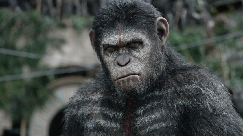 Andy Serkis 2014 als Caesar in Planet der Affen: Revolution.
