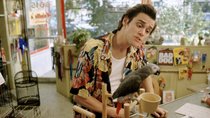 Nach möglichem Karriere-Aus: Jim Carrey kehrt unter einer Bedingung für „Ace Ventura 3“ zurück