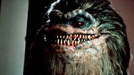 Jetzt im Stream nachholen: Zweifacher Monster-Horror für Gremlins-Fans