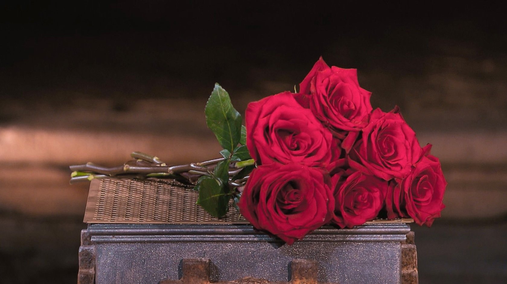 Auch in diesem Jahr werden wieder Rosen verteilt.