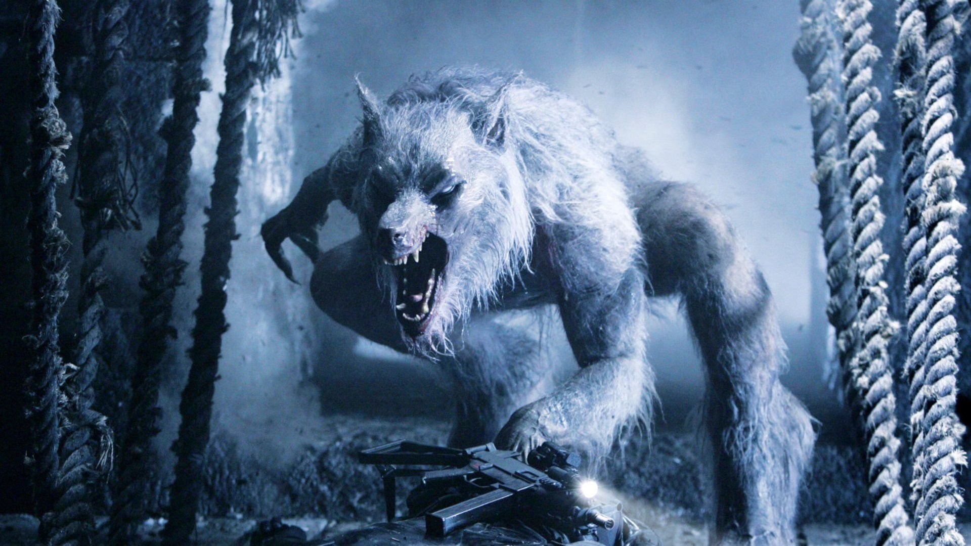 Noch nie dagewesener Horror: Neuer Schocker vom Nosferatu“-Regisseur soll das Werwolf-Genre revolutionieren