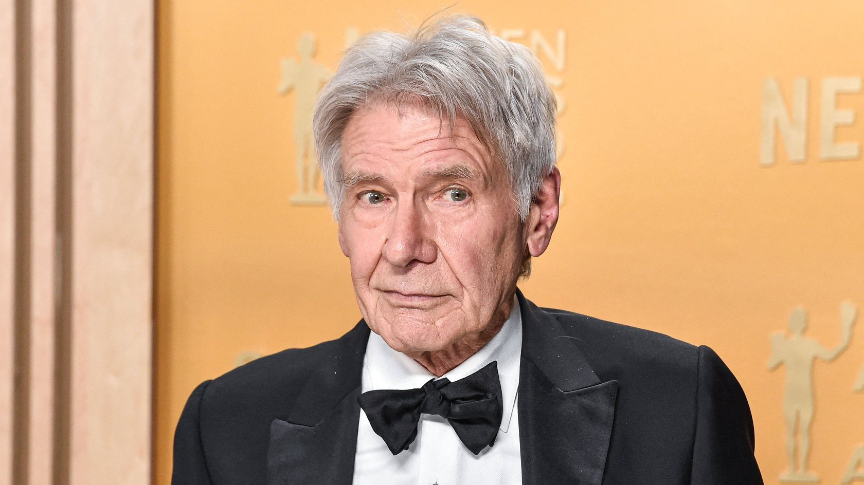 Harrison Ford bei den 31. Annual Screen Actors Guild Awards.