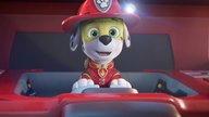 Bei Amazon unter 15 Euro: Dieser "PAW Patrol"-Küchenhelfer gehört in jeden Familienhaushalt