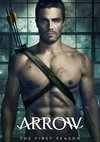 Poster Arrow Staffel 1