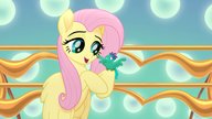 „My Little Pony“-Namen: So heißen die süßen Pferde