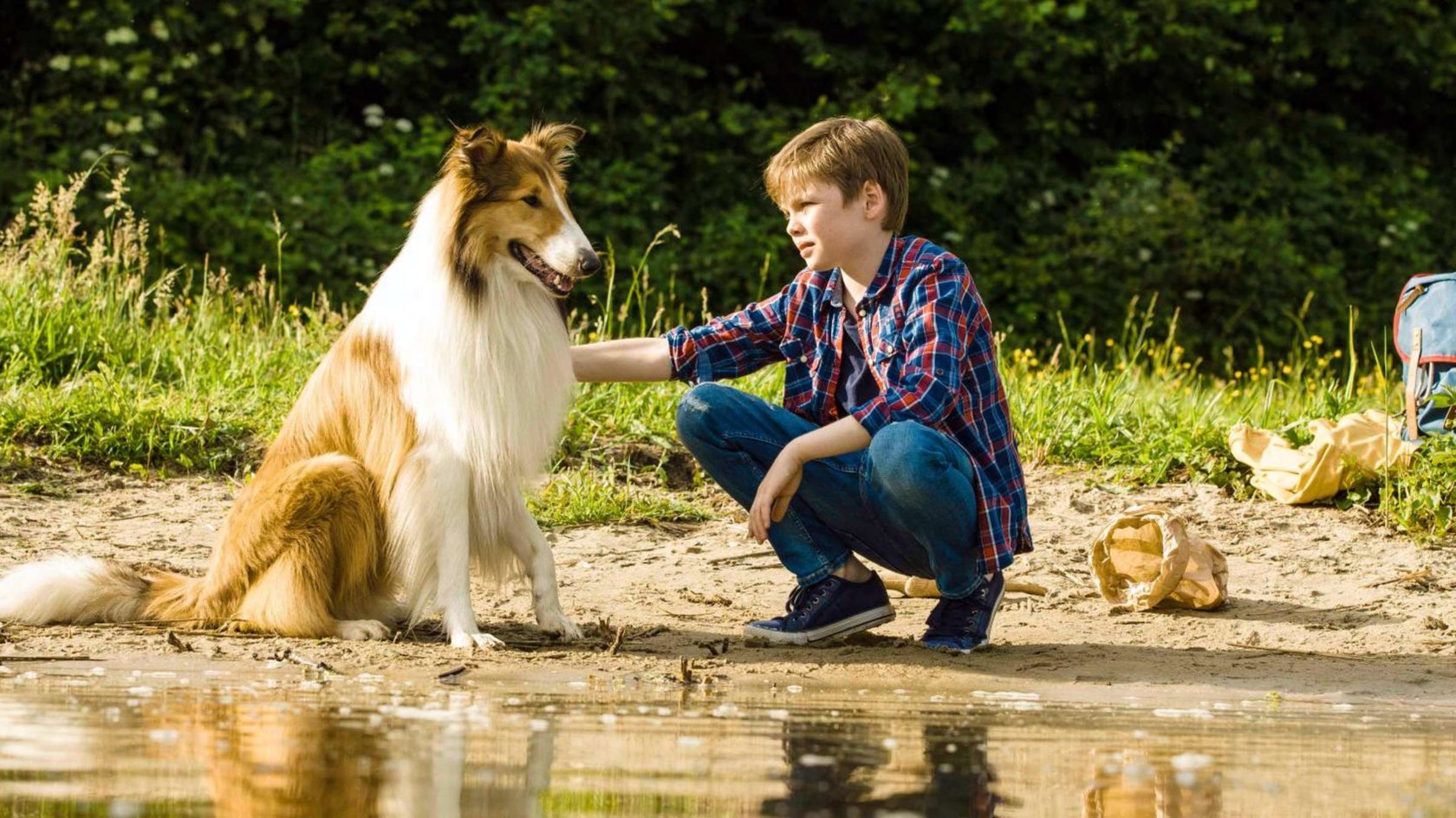 Florian (Nico Marischka) und sein treuer Collie Lassie habe eine ganz besondere Bindung.