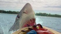 Ab sofort kostenlos bei Amazon: Hai-Horror, den sich wirklich nur Fans angucken sollten