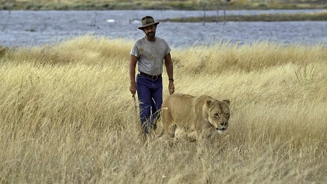 Sam (Jean-Paul Belmondo) hat in Afrika ein neues Leben gestartet.