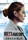 Poster Grey's Anatomy Staffel 17