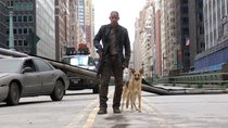 Trotz Leinwandtod: Will Smith bestätigt, warum er in „I am Legend 2“ zurückkehren kann