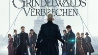 „Phantastische Tierwesen“-Reihenfolge: So schaut ihr die Filme richtig 