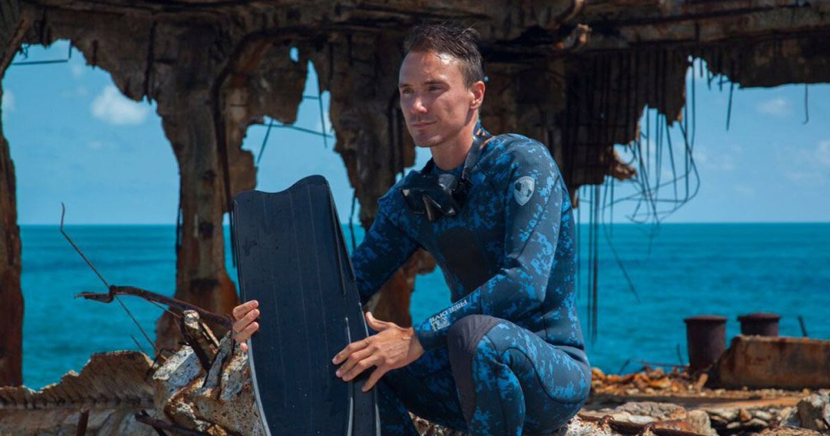 Rob Stewart zeigt in seiner Dokumentation, wie gefährdet Haie heutzutage sind.